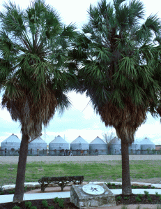 pocket park at crofton and constance