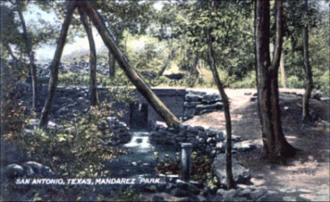 A 1911 postcard shows the beauty of the land in Brackenridge Park formerly owned by Helen Madarasz.