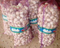 bags-of-garlic
