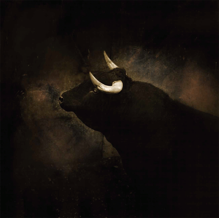 "Toro Obscuro," Joel Salcido, poster artist for San Antonio Book Festival 2013, 