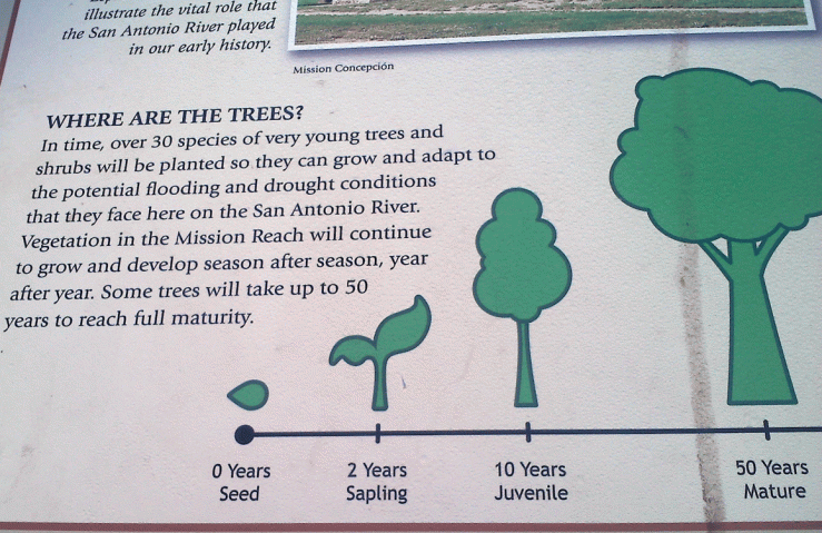 tree-sign