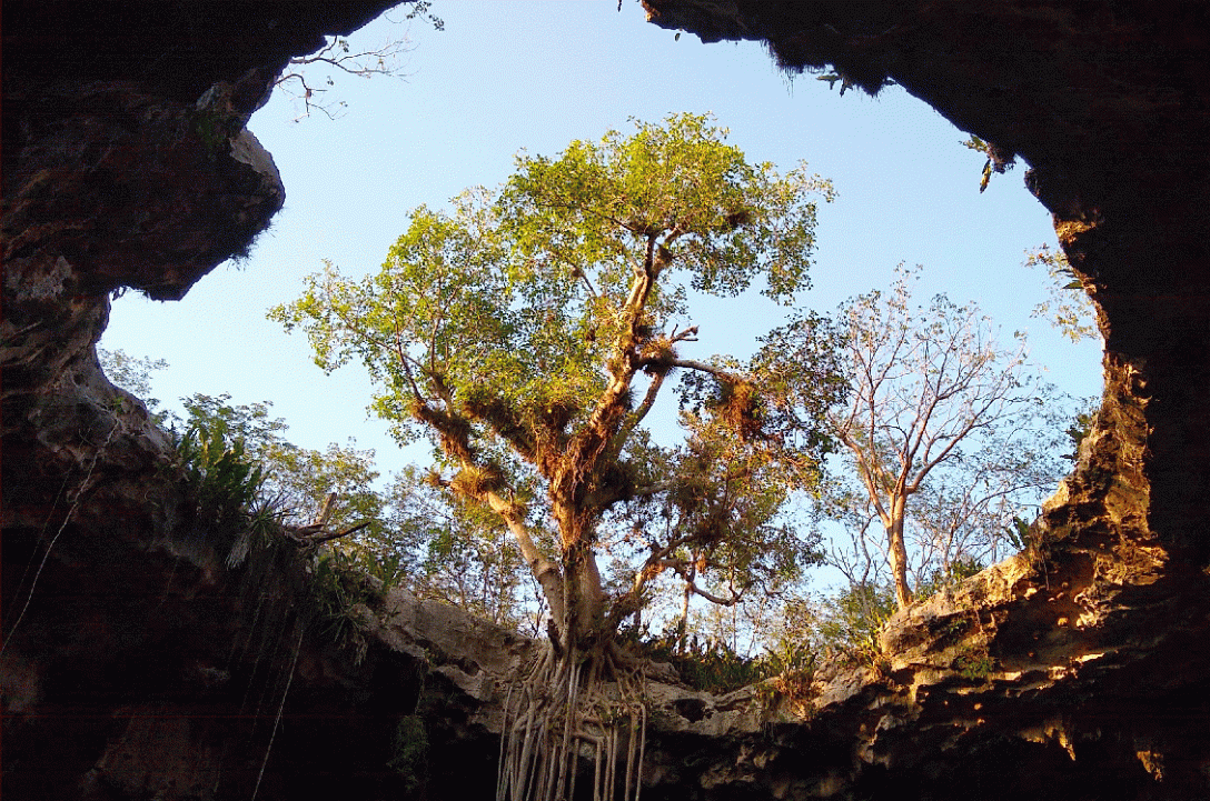 santa barbara cenote