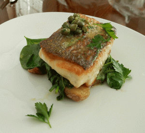 oliva enoteca merida sea bass