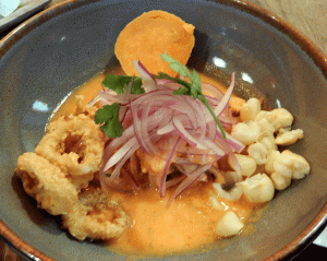 peruano merida cevich