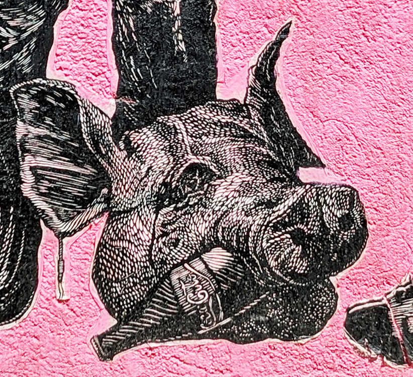 Postcard from Oaxaca, Mexico: 'Nobodies' populate walls