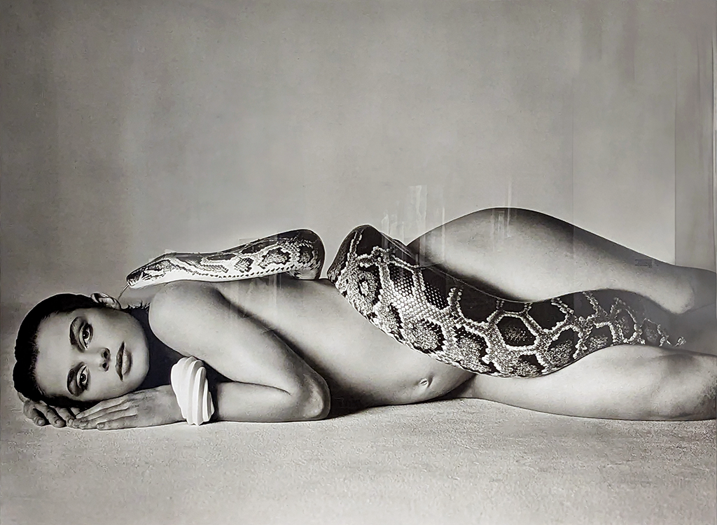 Natassja Kinski and the Serpent