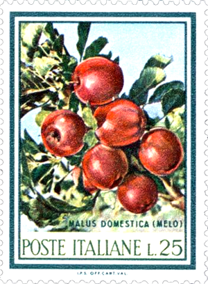 Vintage Italian postage stamp featuring red apples on a branch with green leaves.
