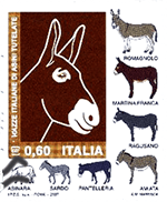 Alt text for clams and mussels with orecchiette in pumpkin sauce.