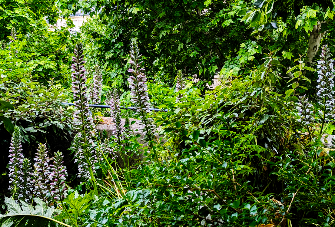 along promenade plantee in Paris