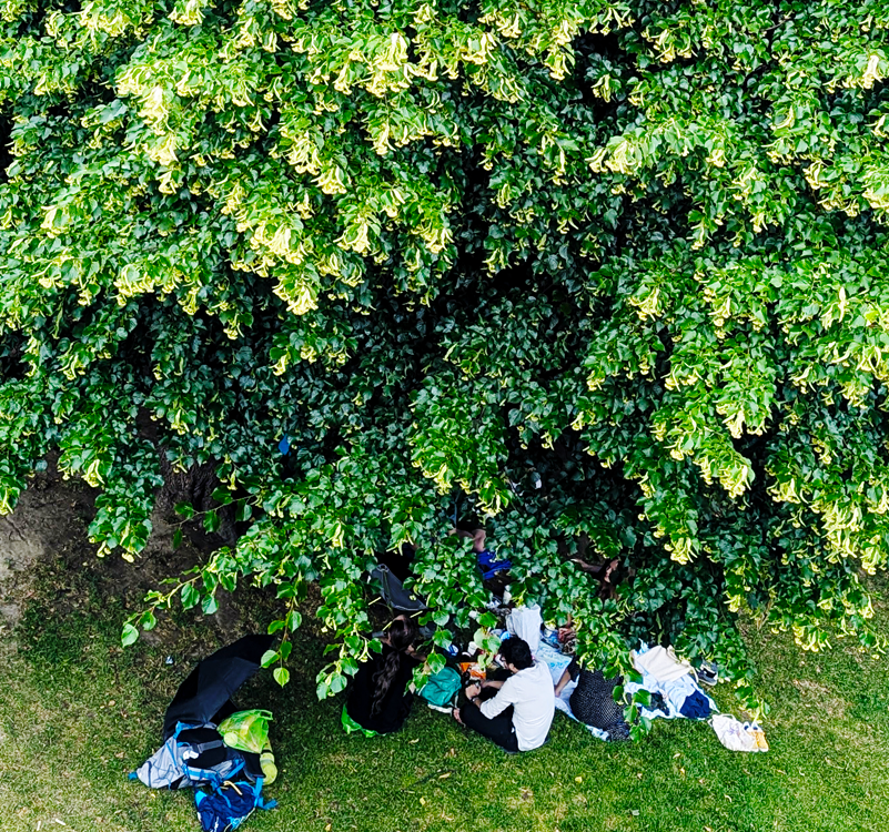 jardin de reuilly below promenade plantee in Paris