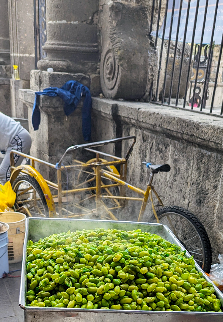 fresh hot garbanzos for sale